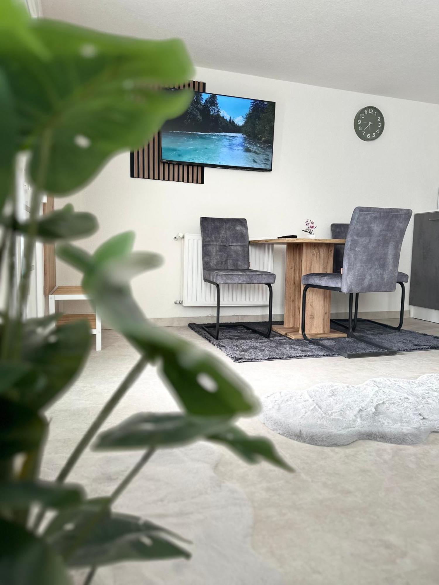 Stanojkov Apartment